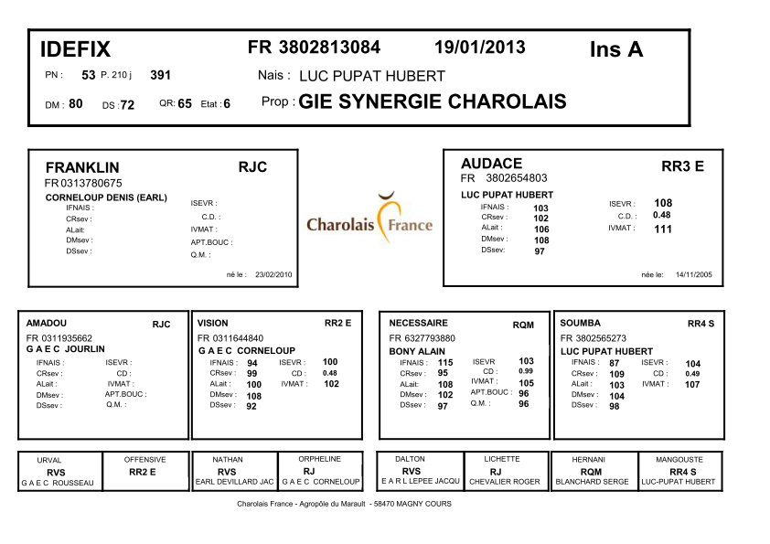 genealogie taureau charolais IDEFIX