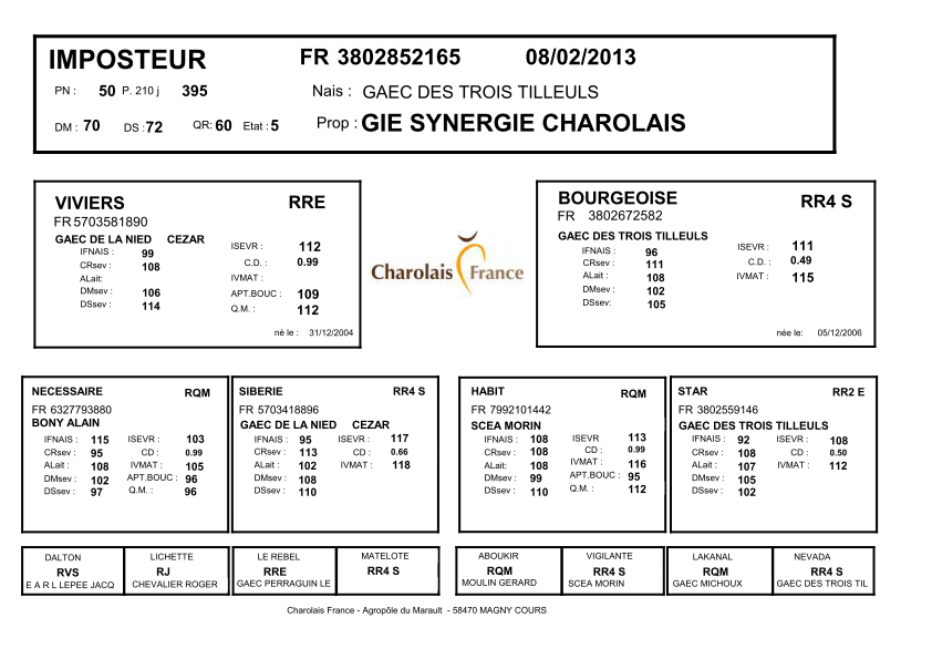 genealogie taureau charolais IMPOSTEUR