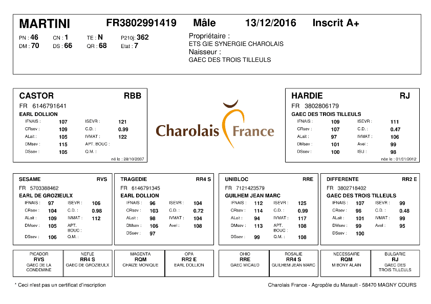genealogie taureau charolais MARTINI