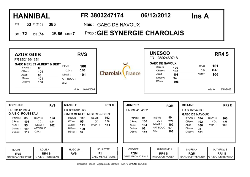 genealogie taureau charolais HANNIBAL