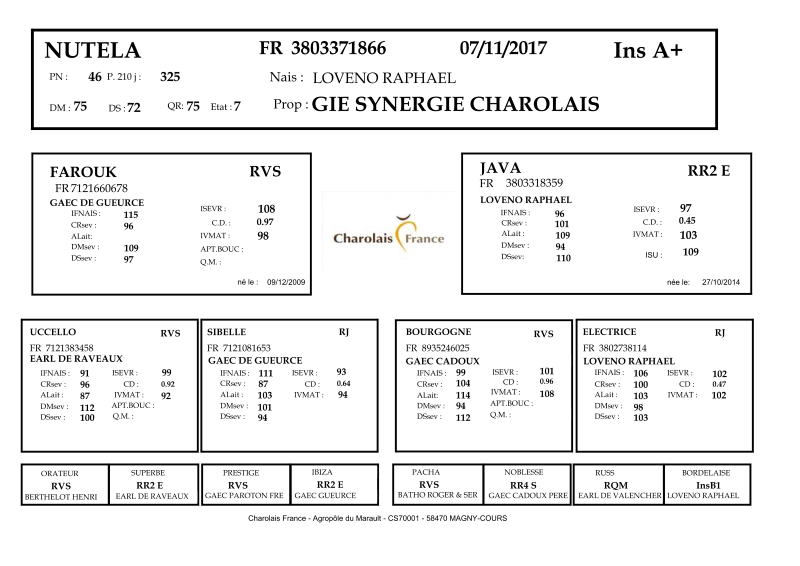 genealogie taureau charolais NUTELA