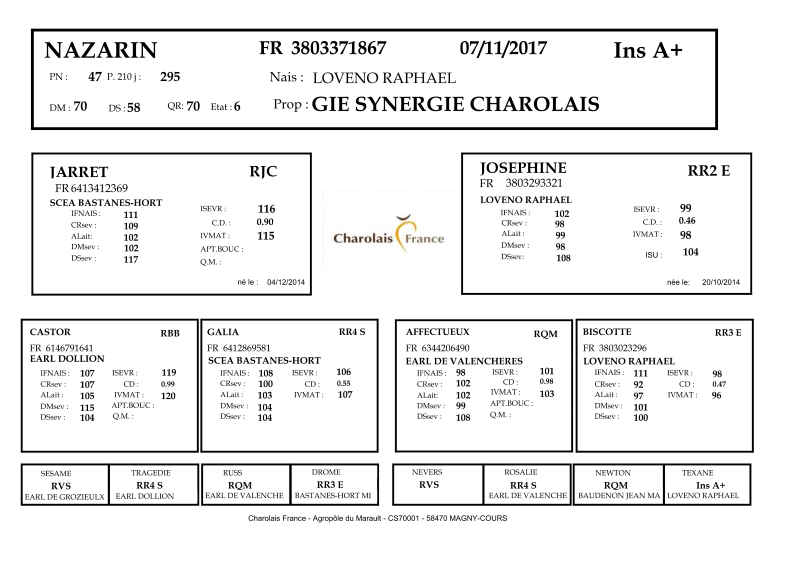 genealogie taureau charolais NAZARIN