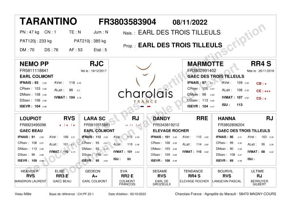 genealogie taureau charolais TARANTINO