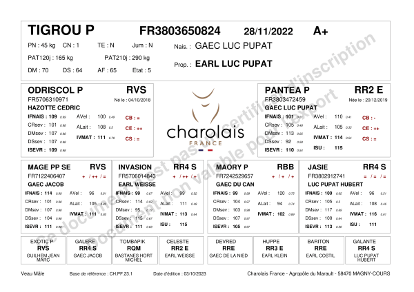 genealogie taureau charolais TIGROU P