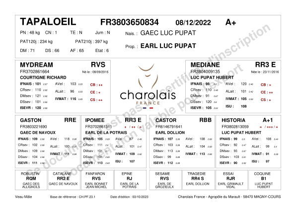 genealogie taureau charolais TAPALOEIL