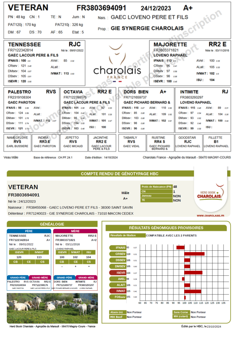 genealogie taureau charolais VETERAN