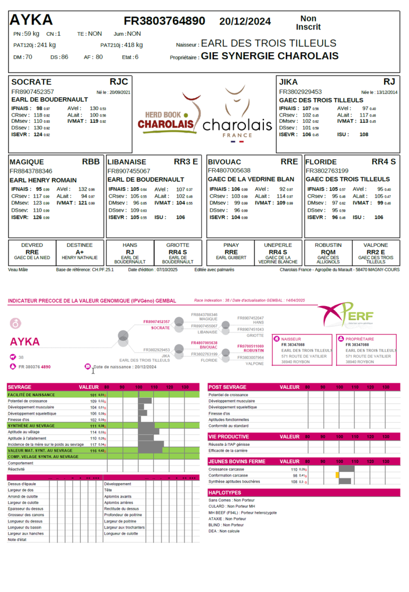 genealogie taureau charolais AYKA
