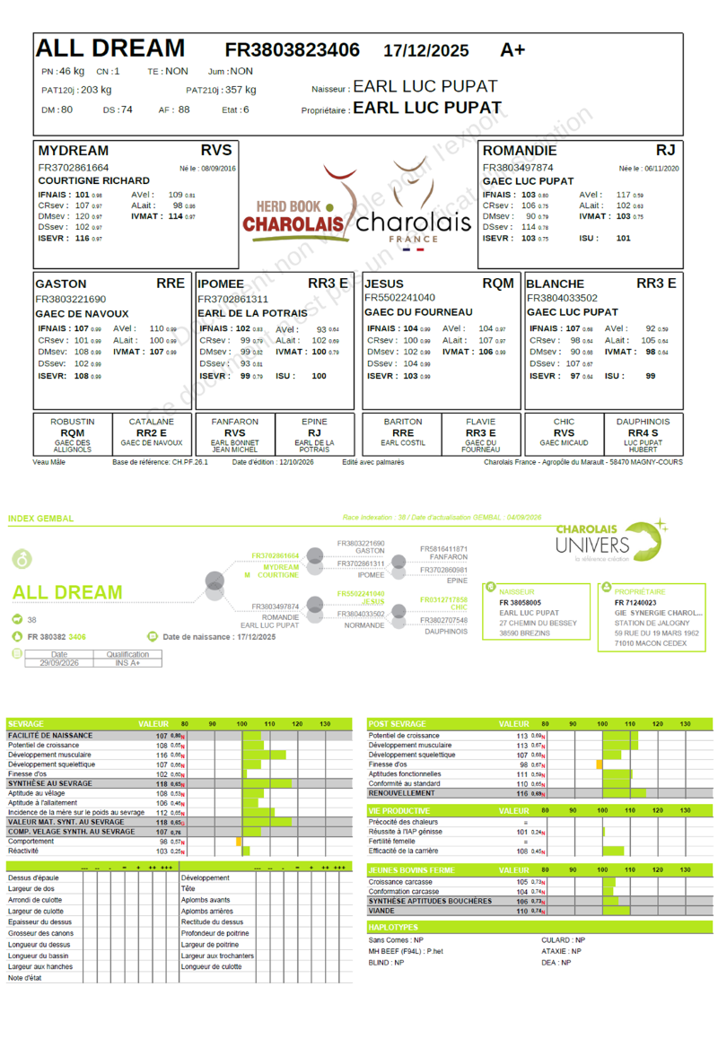 genealogie taureau charolais ALL DREAM 