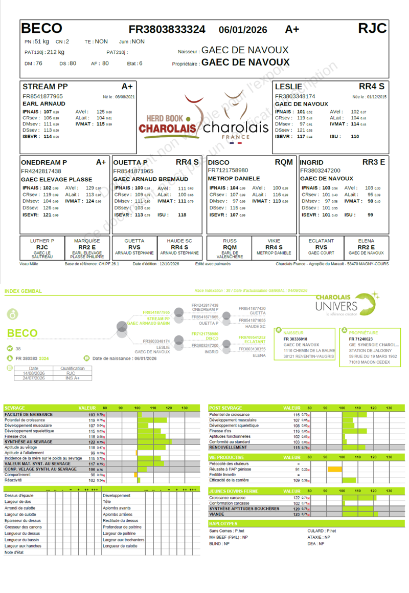 genealogie taureau charolais BECO      