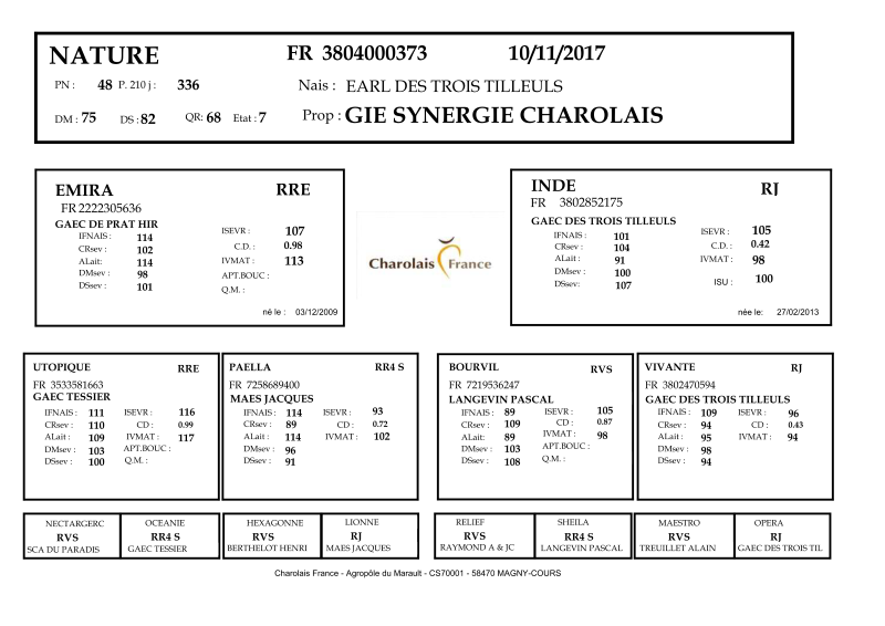 genealogie taureau charolais NATURE