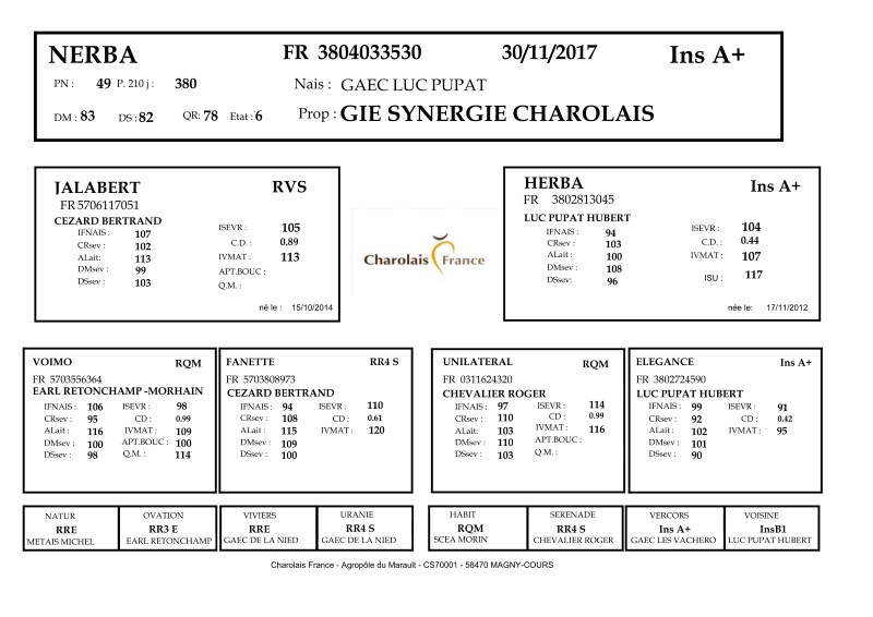 genealogie taureau charolais NERBA