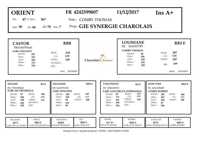 genealogie taureau charolais ORIENT