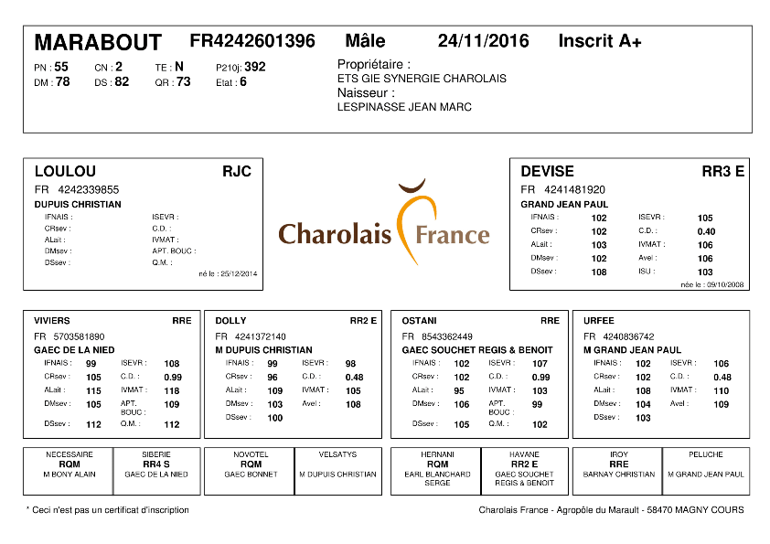 genealogie taureau charolais MARABOUT
