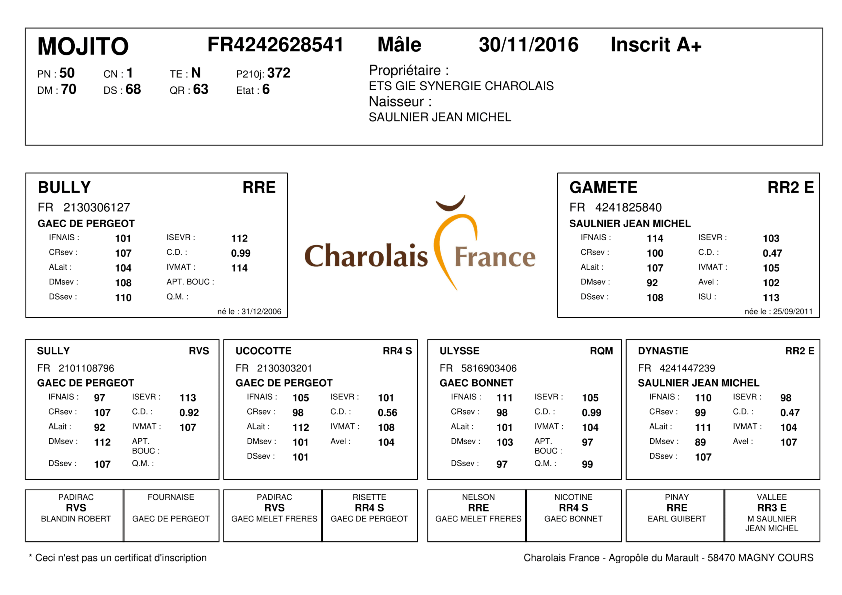 genealogie taureau charolais MOJITO