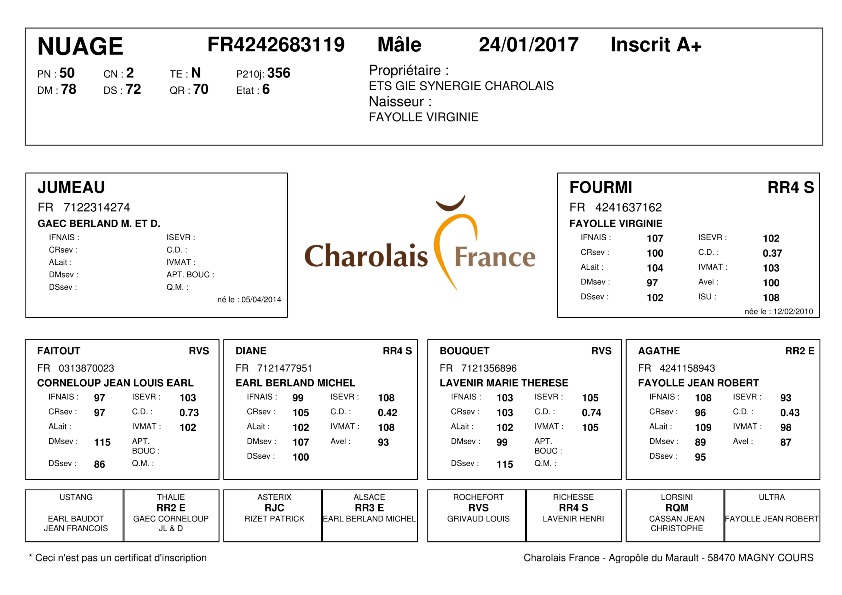 genealogie taureau charolais NUAGE
