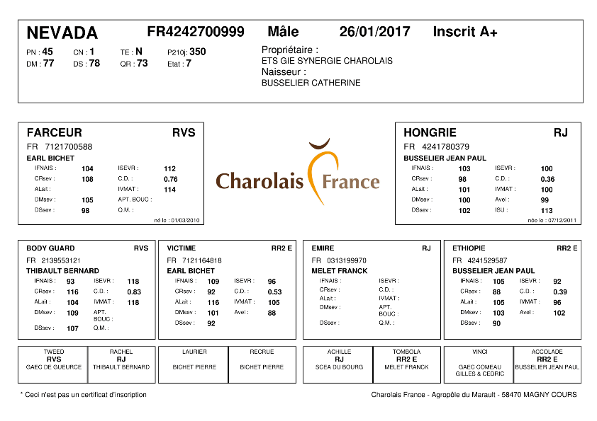 genealogie taureau charolais NEVADA