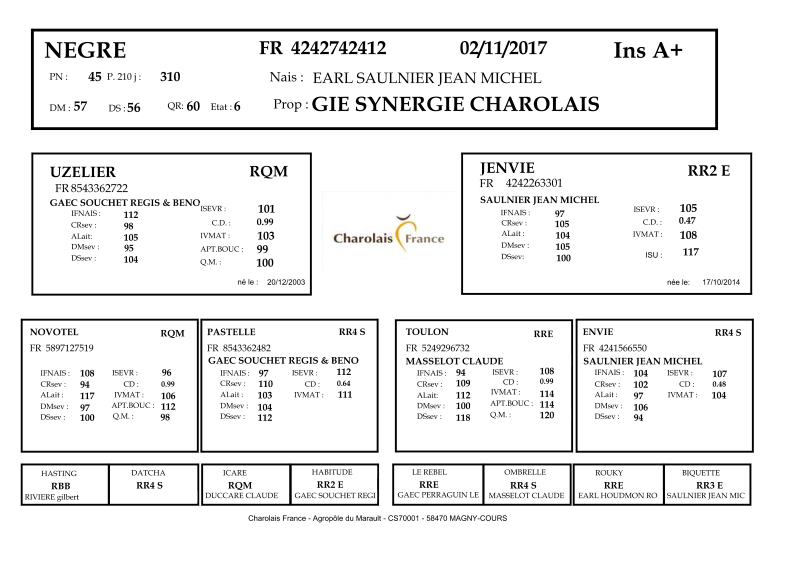genealogie taureau charolais NEGRE