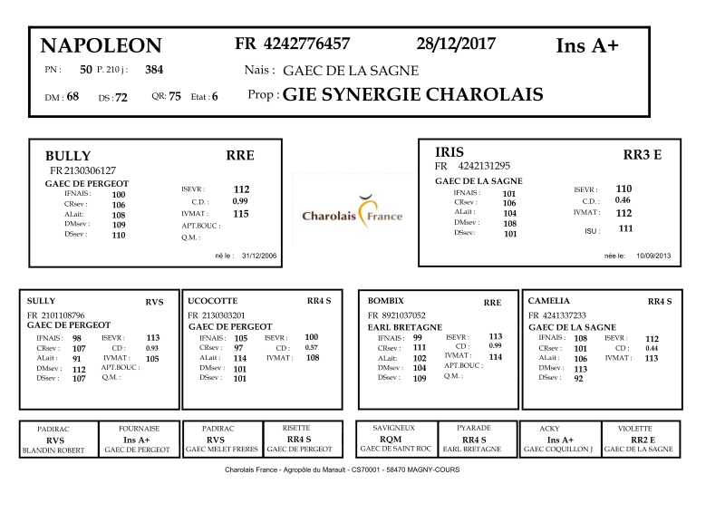 genealogie taureau charolais NAPOLEON