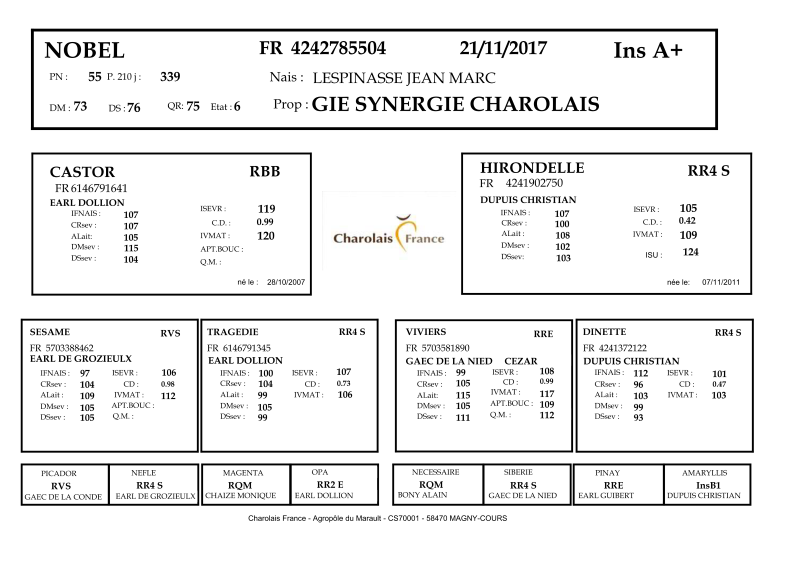 genealogie taureau charolais NOBEL