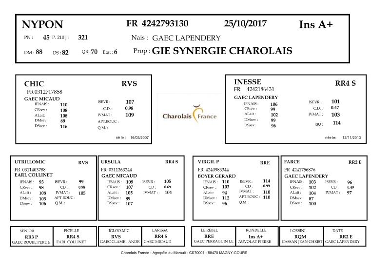 genealogie taureau charolais NYPON