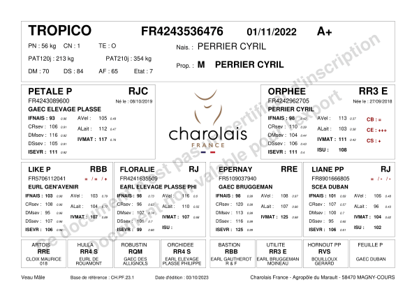 genealogie taureau charolais TROPICO