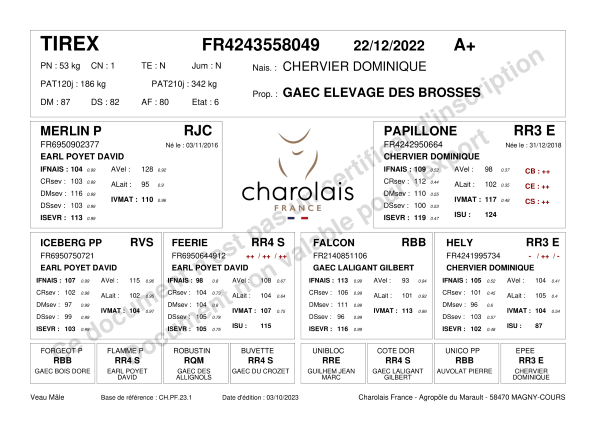 genealogie taureau charolais TIREX