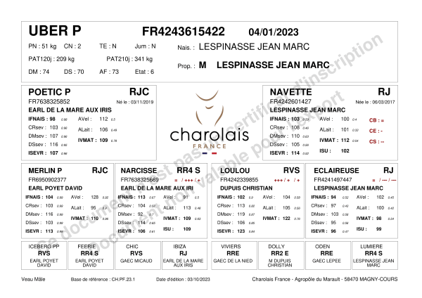 genealogie taureau charolais UBER P