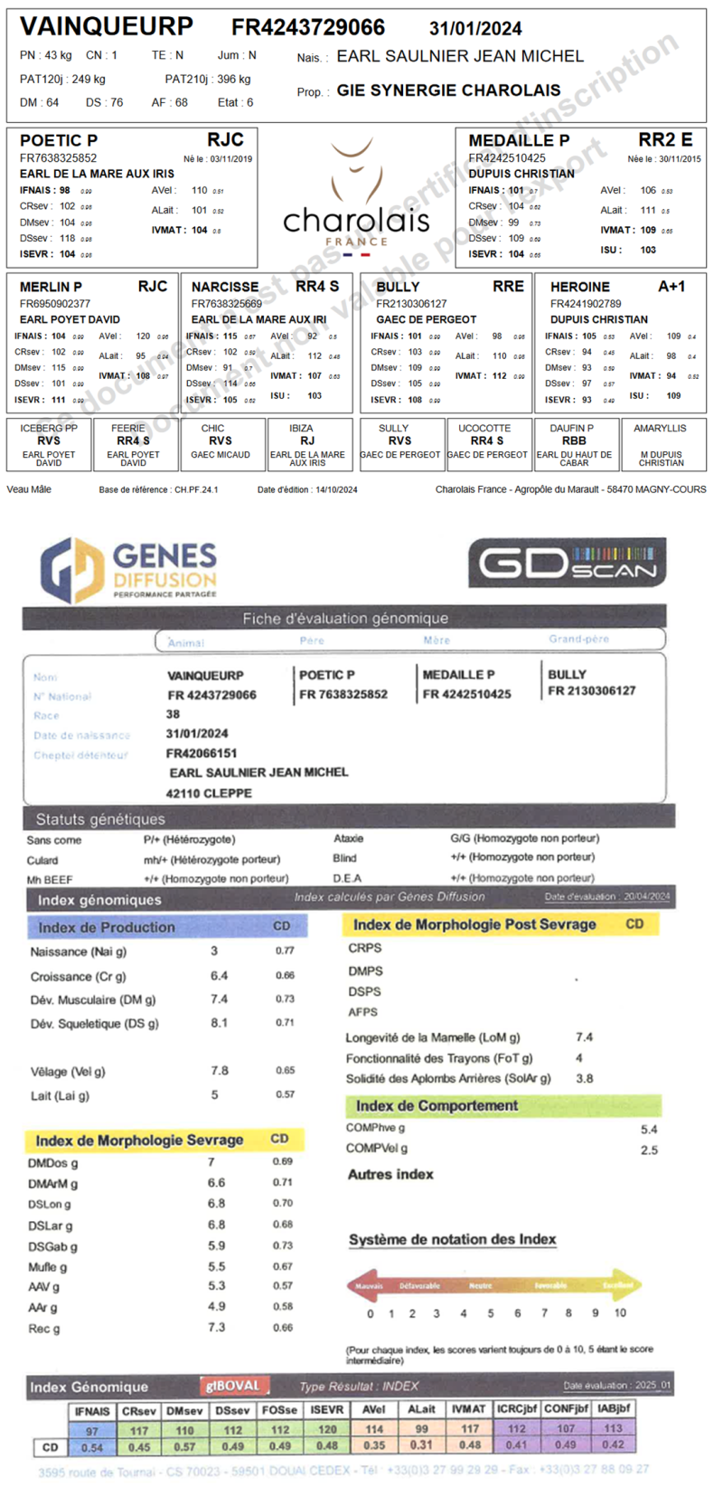 genealogie taureau charolais VAINQUEURP