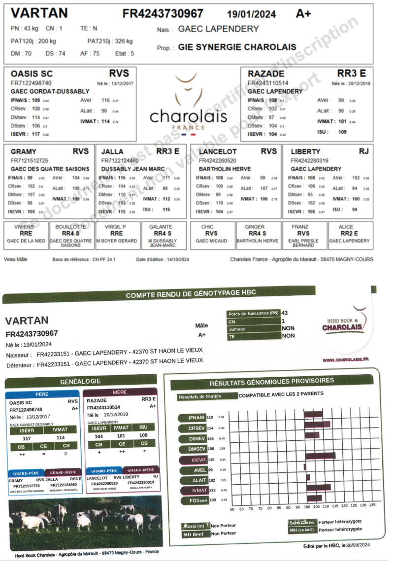genealogie taureau charolais VARTAN