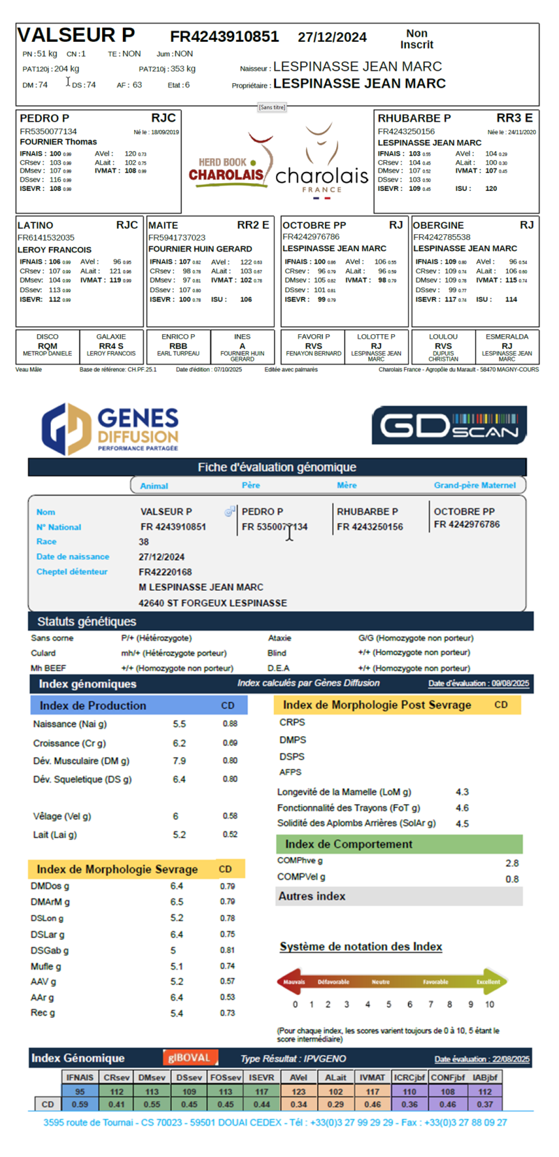 genealogie taureau charolais VALSEUR P