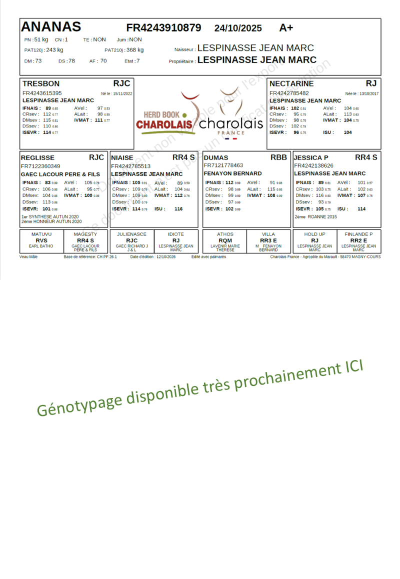 genealogie taureau charolais ANANAS    