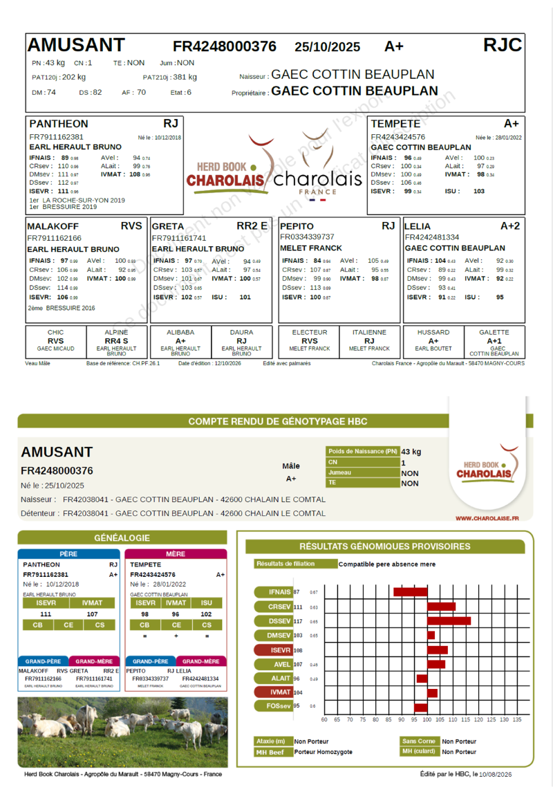 genealogie taureau charolais AMUSANT   