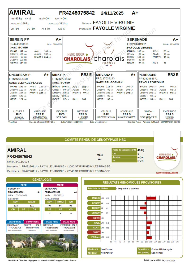 genealogie taureau charolais AMIRAL    