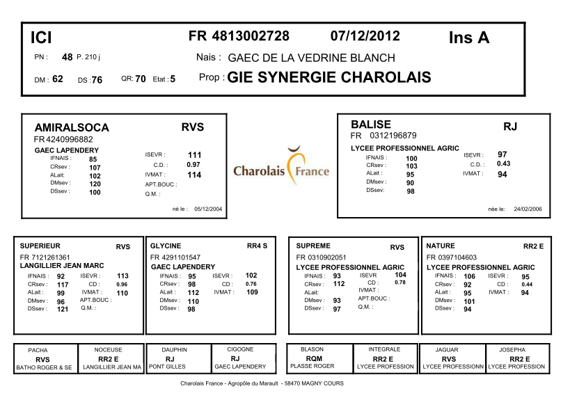genealogie taureau charolais ICI