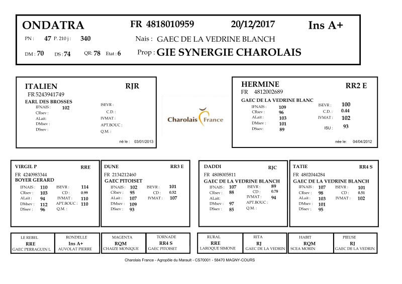 genealogie taureau charolais ONDATRA