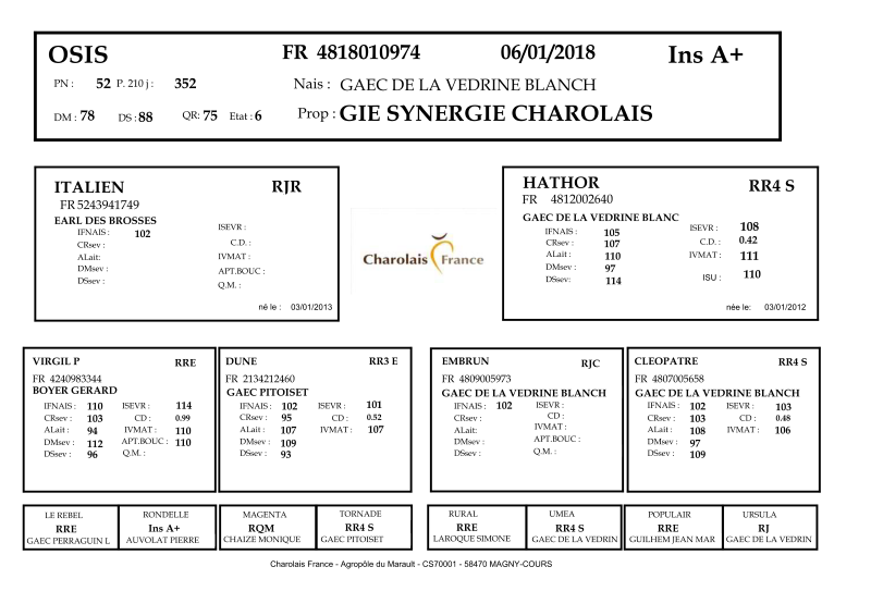 genealogie taureau charolais OSIS