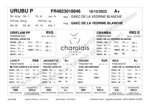 genealogie taureau charolais URUBU P