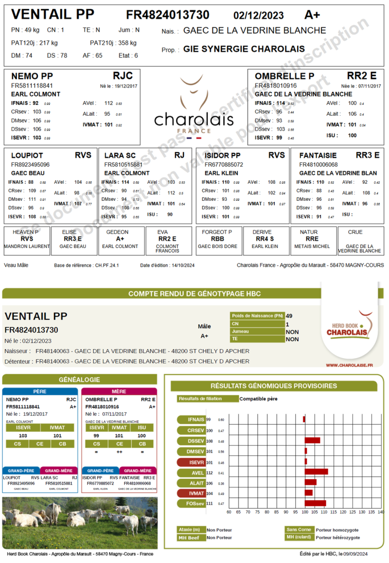 genealogie taureau charolais VENTAIL PP