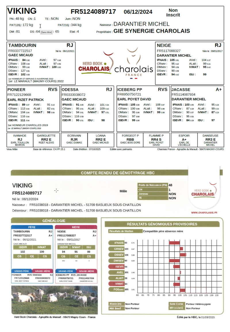 genealogie taureau charolais VIKING