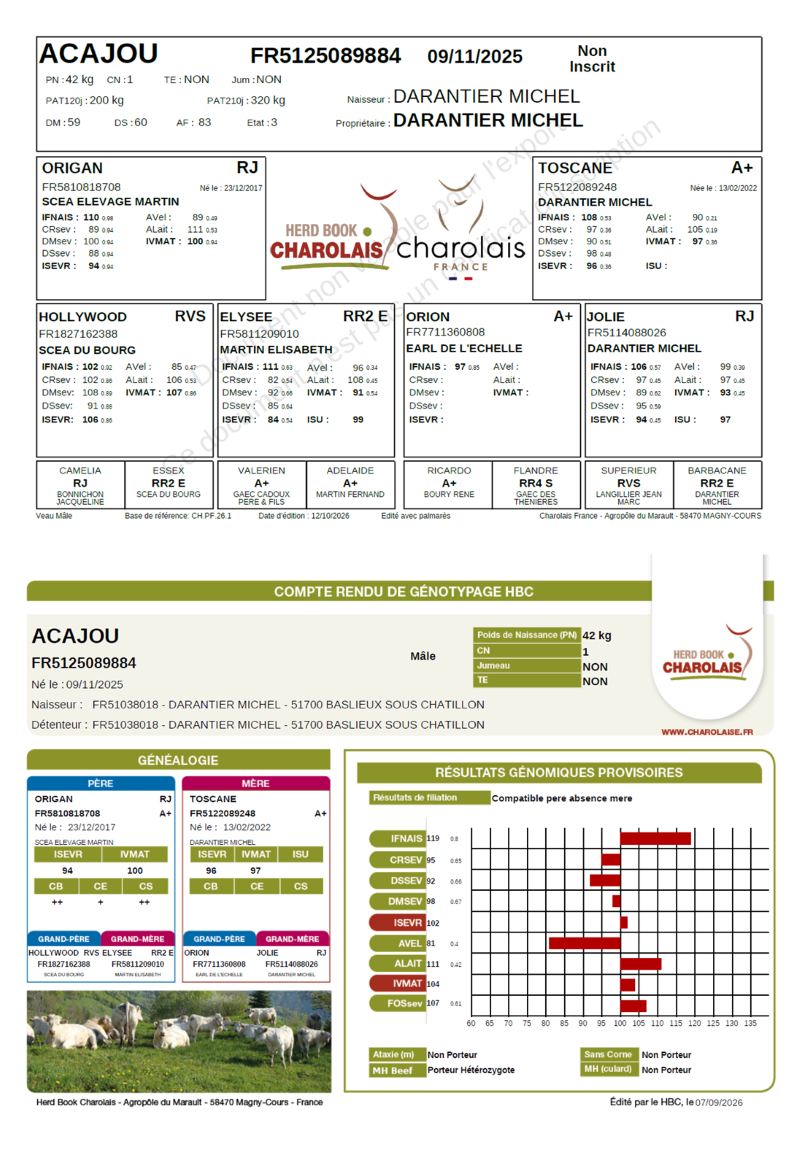 genealogie taureau charolais ACAJOU    