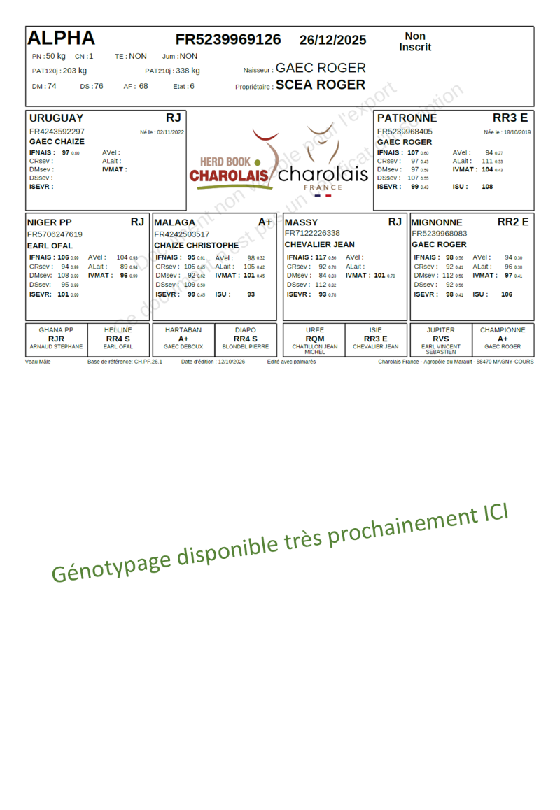 genealogie taureau charolais ALPHA     