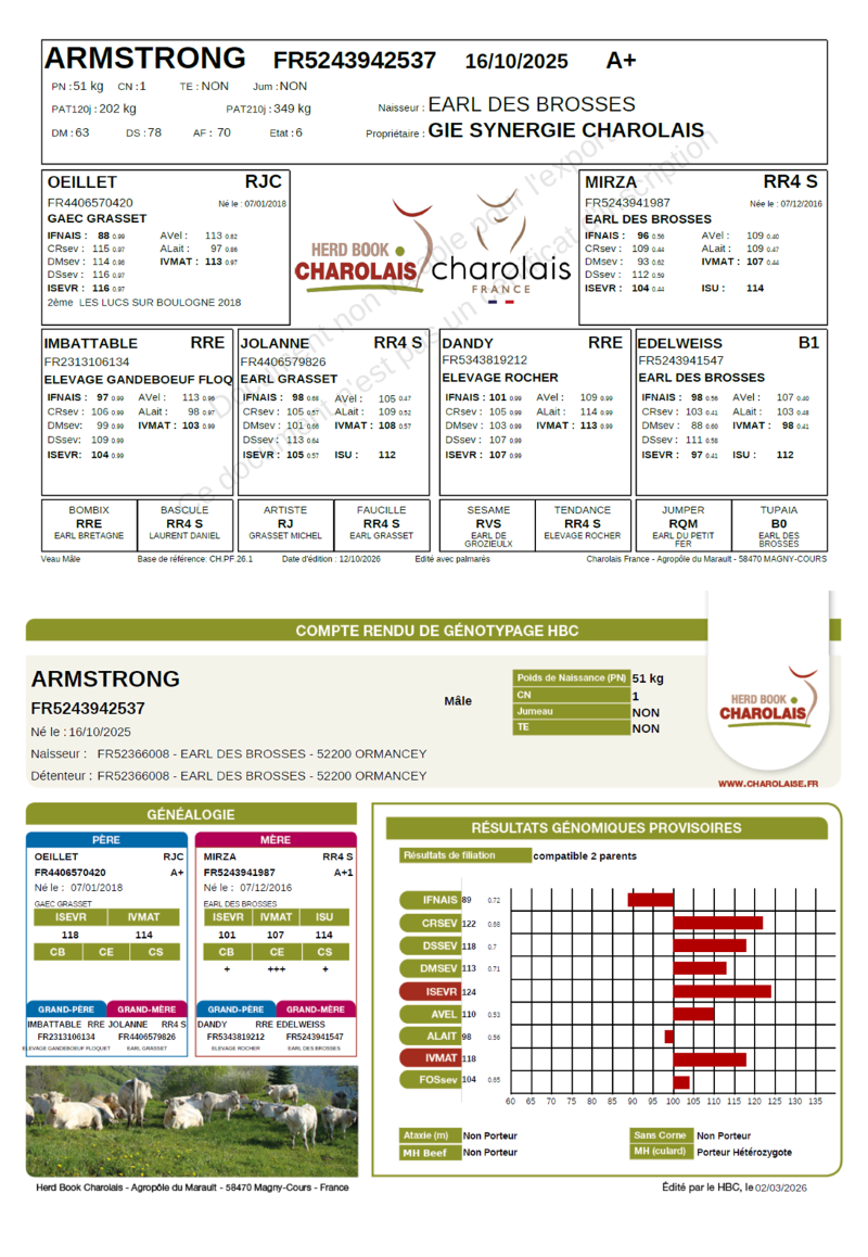 genealogie taureau charolais ARMSTRONG 
