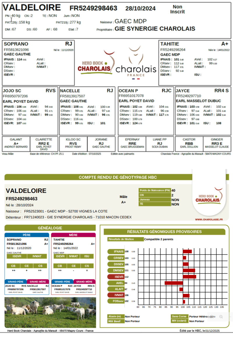 genealogie taureau charolais VALDELOIRE