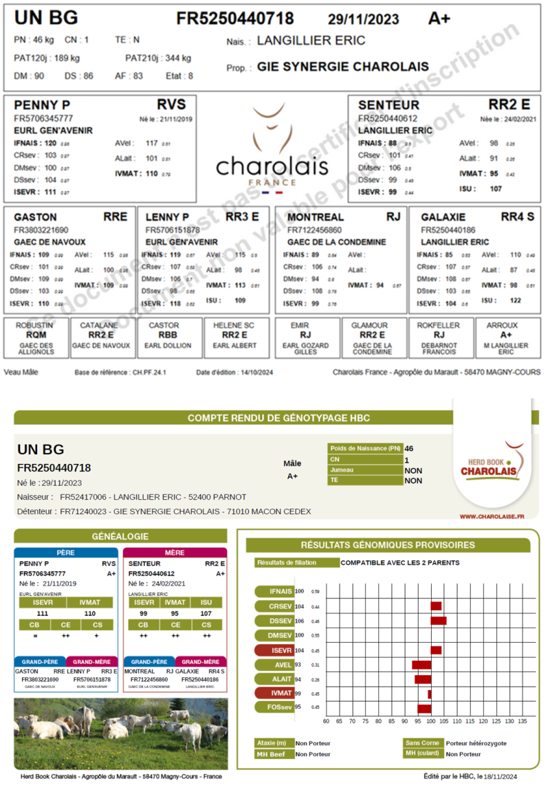 genealogie taureau charolais UN BG