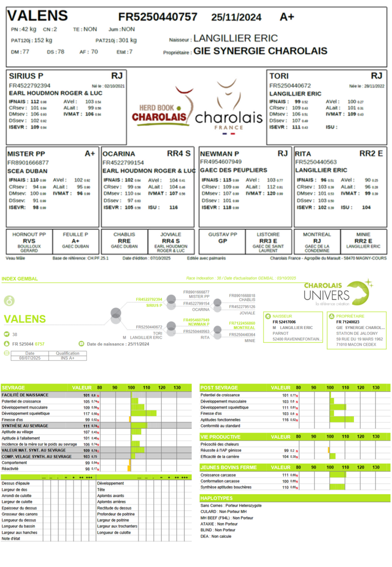 genealogie taureau charolais VALENS