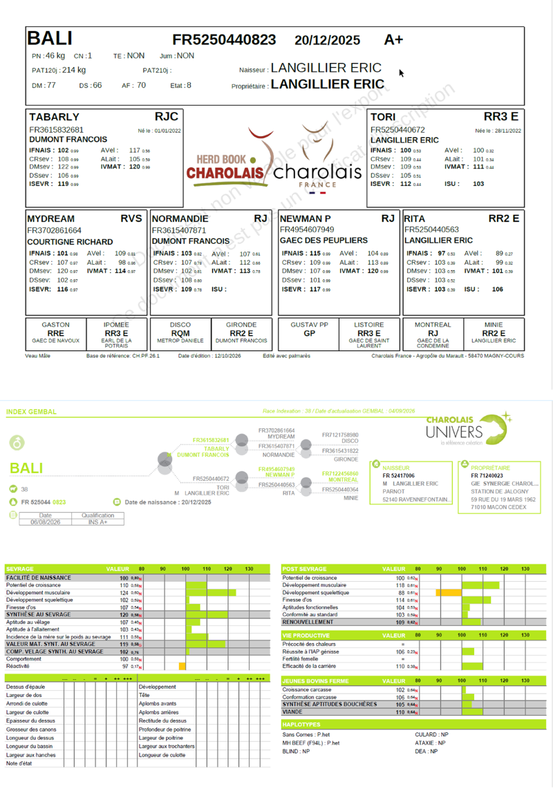 genealogie taureau charolais BALI      