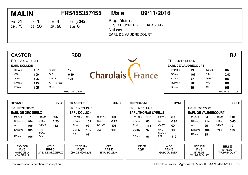 genealogie taureau charolais MALIN