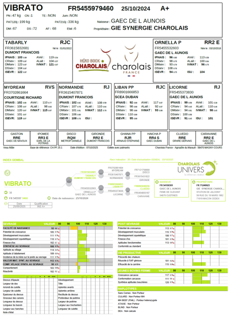 genealogie taureau charolais VIBRATO