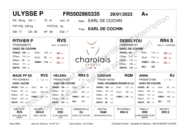 genealogie taureau charolais ULYSSE P