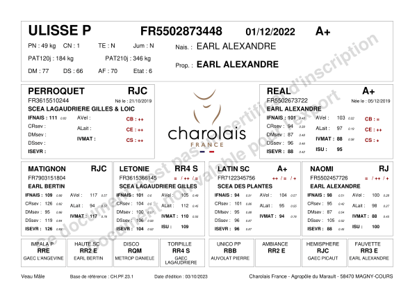 genealogie taureau charolais ULISSE P